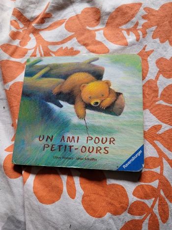 Un ami pour petit ours