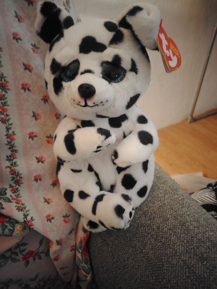 Peluche ty beanie bellies