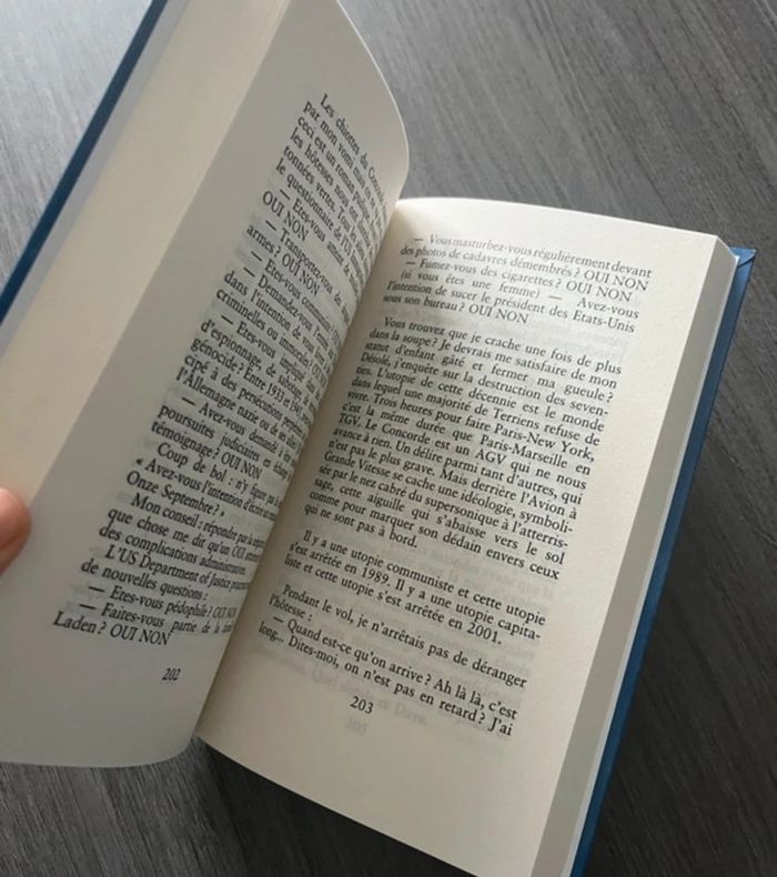 Roman Windows on the world Beigbeder - photo numéro 5