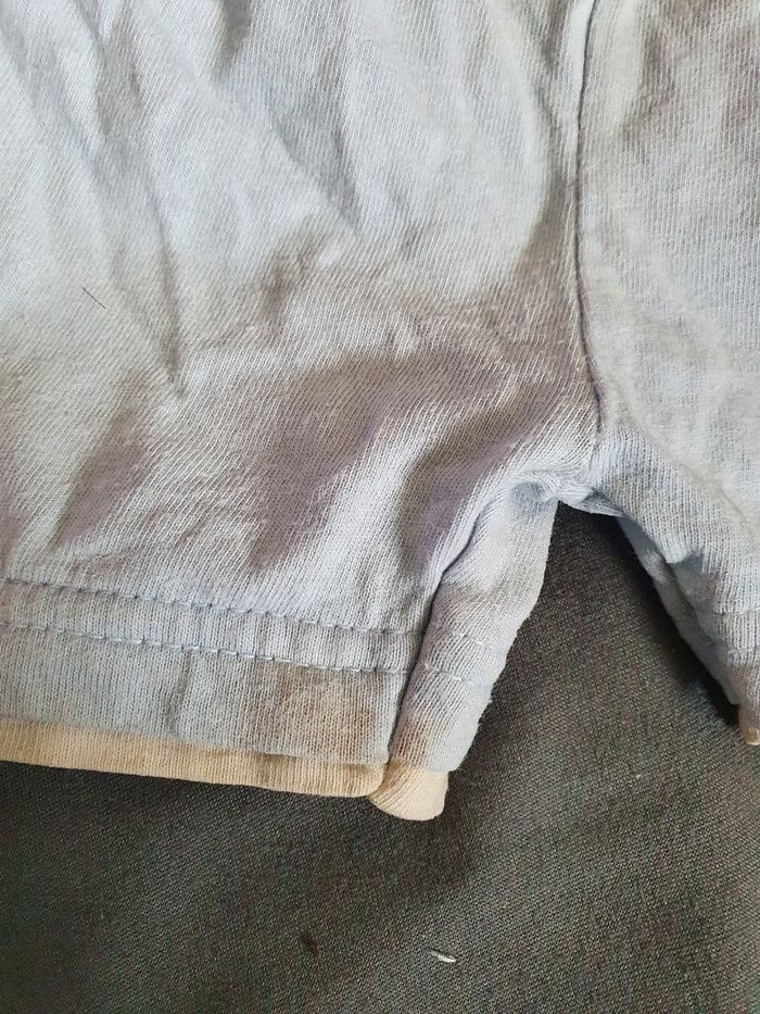 Short bambi - photo numéro 3