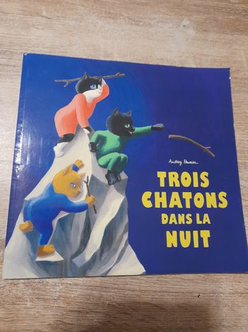 Livre Trois chatons dans la nuit 