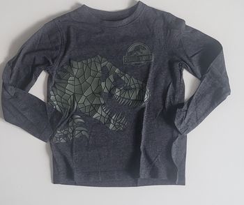 Haut manches longues dinosaure