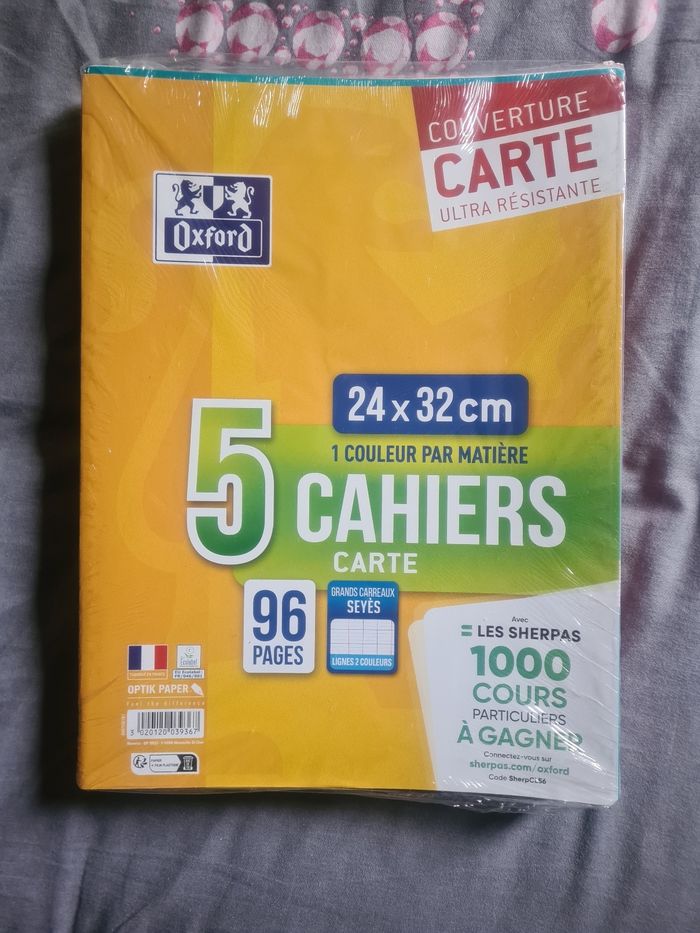 Lot de 5 cahiers 24x32cm 96 pages grands carreaux NEUFS