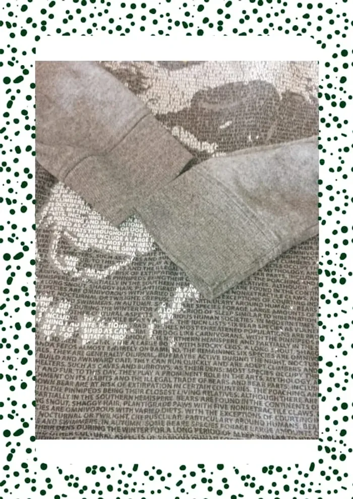 Magnifique sweat gris tête d ours - photo numéro 4