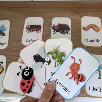 Jeu insectes