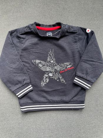 Sweat terres de marins 23 mois peu porté