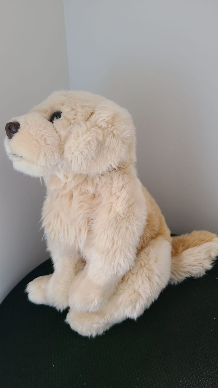 doudou chien - photo numéro 5