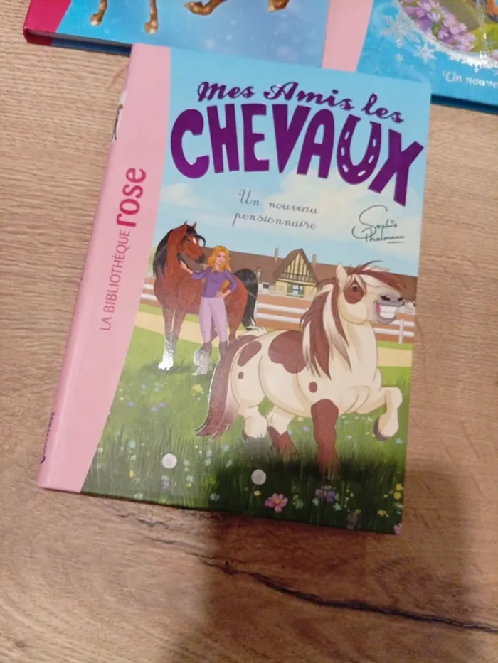 Livre la bibliothèque rose - photo numéro 4