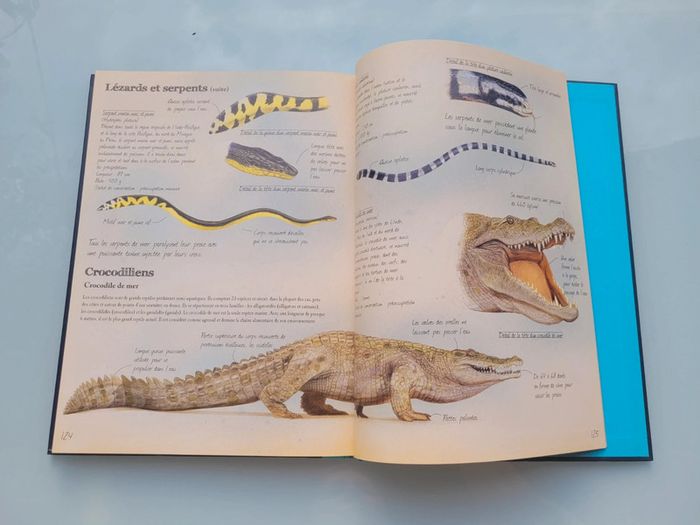 Très beau livre grand format : 🦈 Les Animaux Marins du Monde 🐋 Grenouille éditions - photo numéro 11