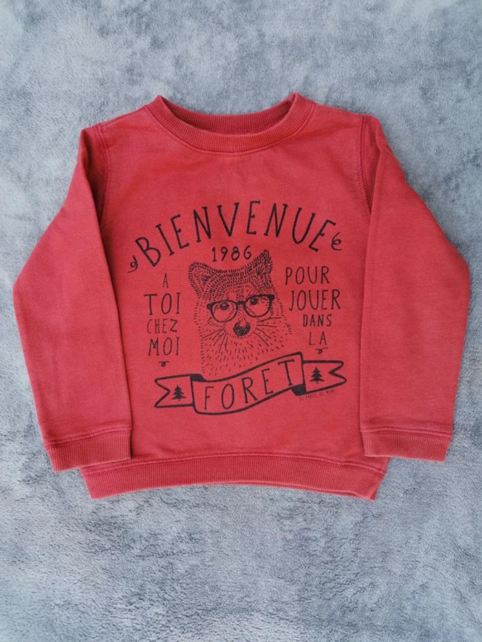 Sweat DPAM - 3 ans - Renard rouille