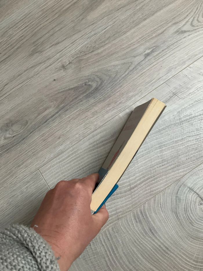 Livre de poche, juste avant le bonheur d’Agnès Ledig - photo numéro 5