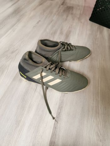 Predator adidas