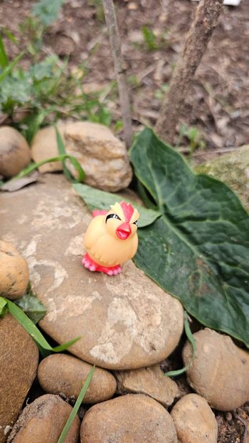 Super figurine Pokemon Nintendo bondai Roucool