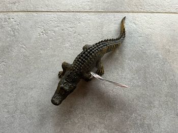 Alligator Schleich