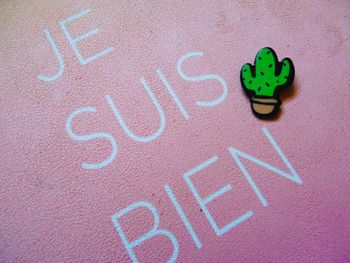 Broche Cactus mexicain accessoire vêtement fête neuf vert