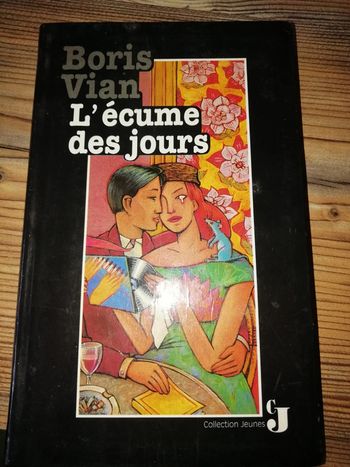 Livre l écume des jours