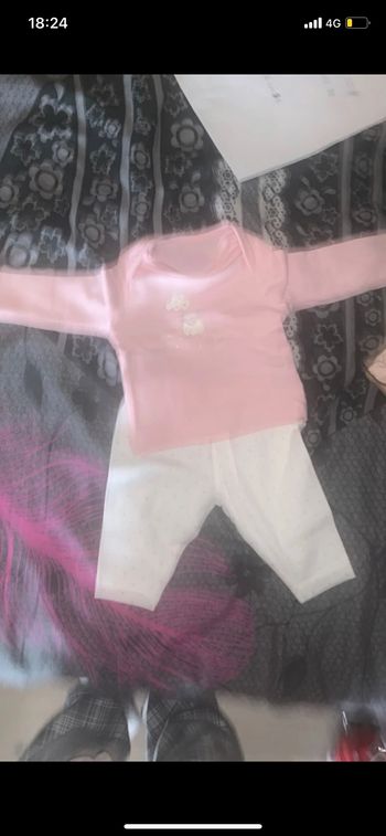 Ensemble petit mouton