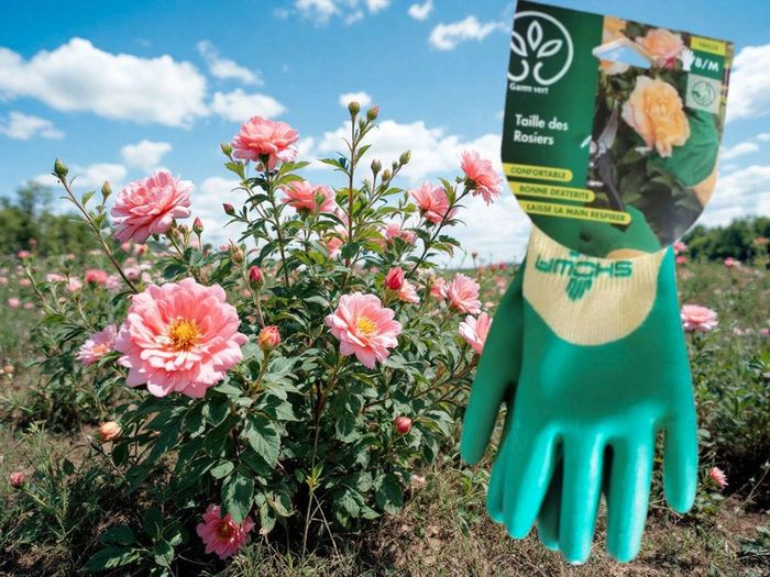 Paire de gants - Pour taille de rosier - Taille M - Gamm Vert