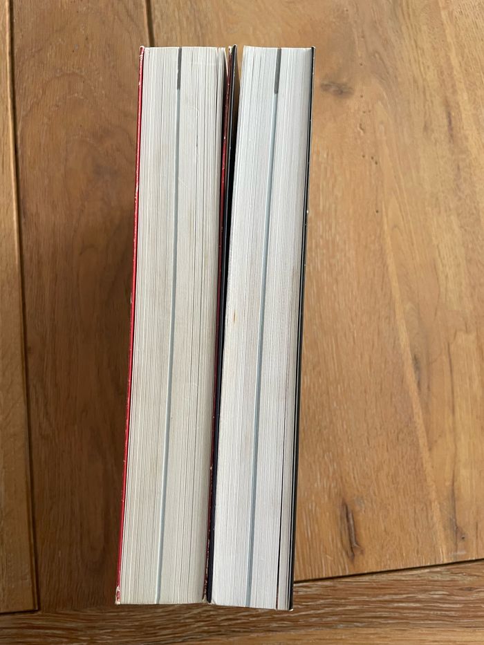 Lot 2 livres série Georges Hawking - photo numéro 4