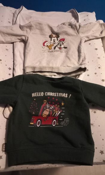 Lot de deux pull 18/24mois