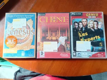 Jeux pc : enquête