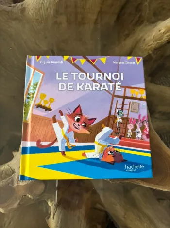 Livre Mcdo Le tournoi de karaté Esprit sportif