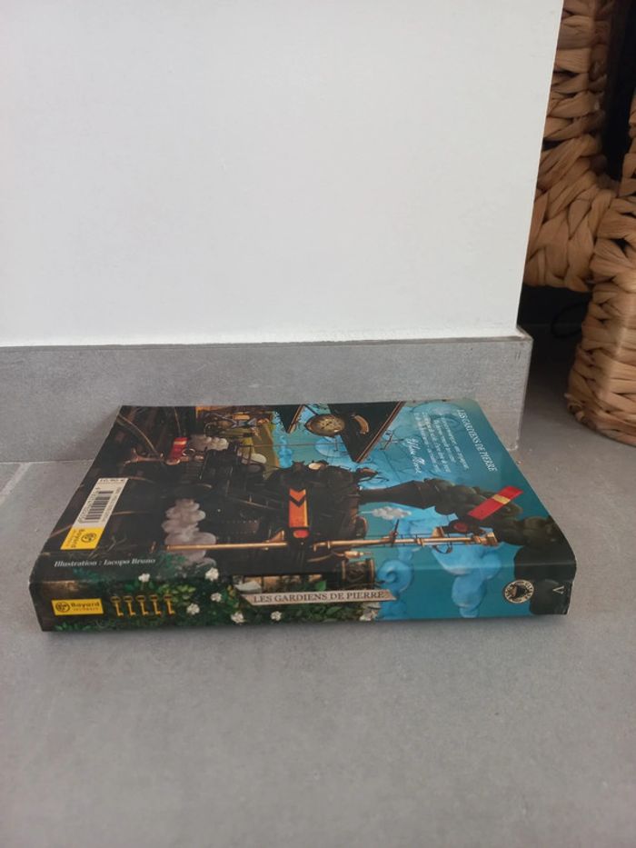 📖 Les gardiens de pierre - Ulysse Moore - photo numéro 3