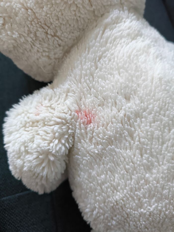 Peluche ours - photo numéro 5