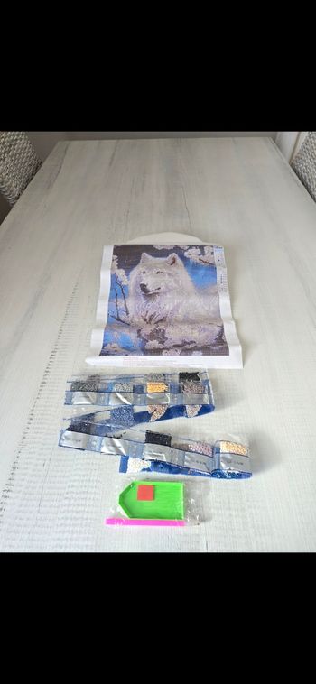 Kit peinture diamant 5D loup 