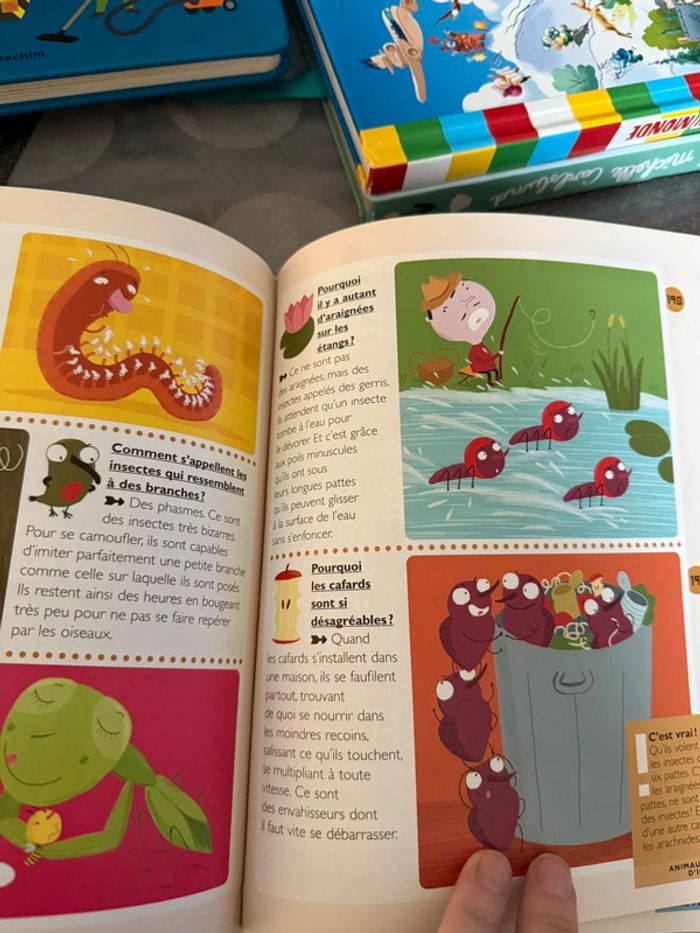 Mon premier Larousse des pourquoi - photo numéro 5