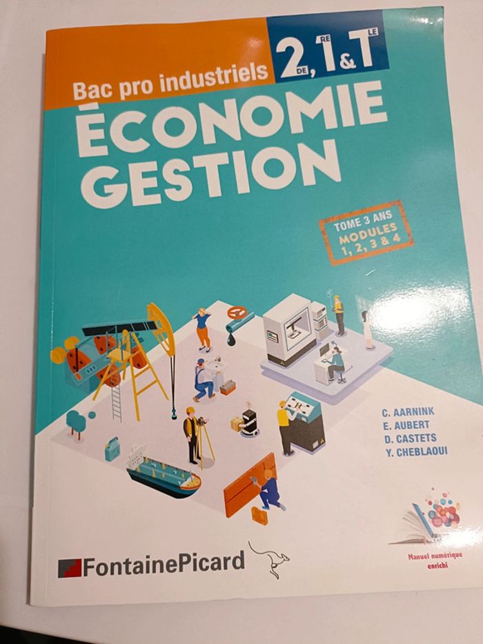 Livre économie gestion bac pro