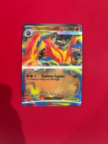 Carte jumbo mega roitiflam 035