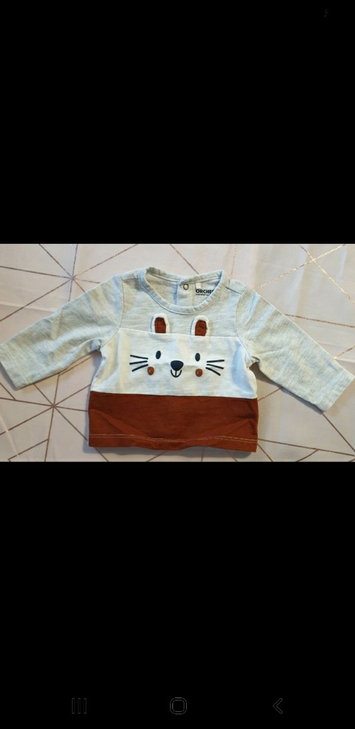 Pull lapin