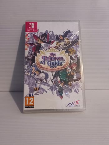 Switch the princess guide