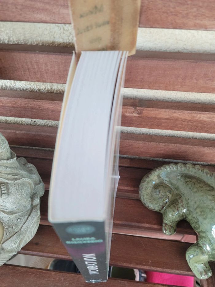 Livre "Incubation" de Laura Disilverio - photo numéro 3