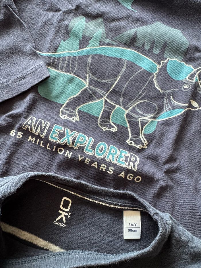 Lot 2 t-shirt 3 ans Dinosaure bleu - photo numéro 4