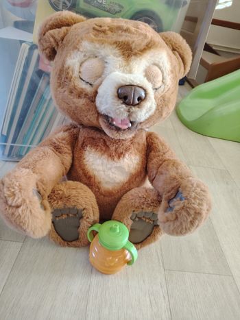 Cubby l'ours curieux