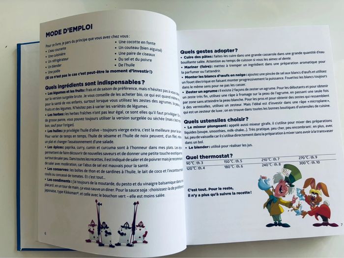 Livre de recette Disney pour enfants ou famille - photo numéro 4