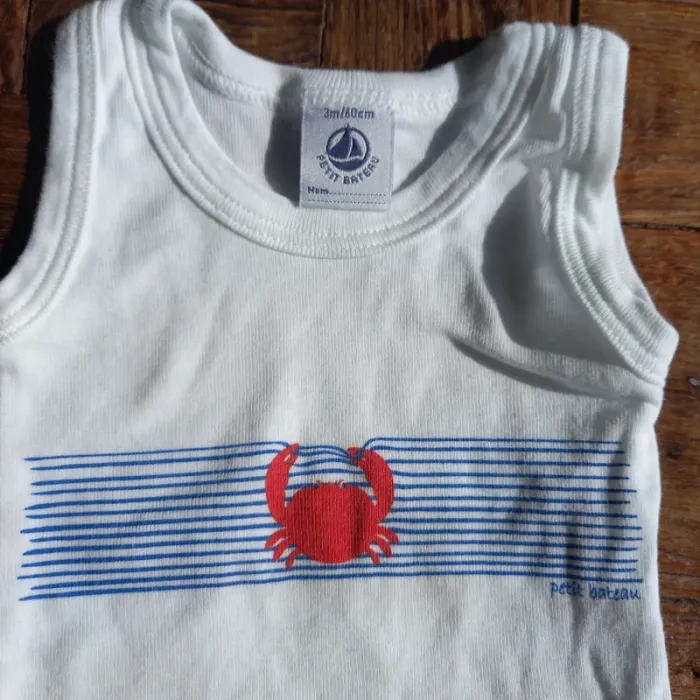 Lot de 2 bodies Petit Bateau 3 mois neufs