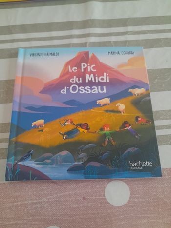 Livre le pic du midi d ossau