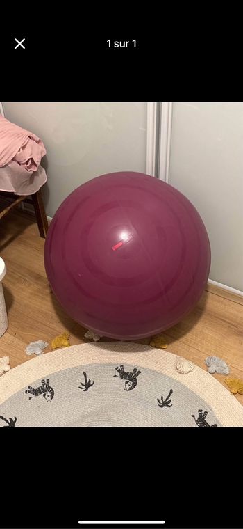 Ballon de gym/grossesse