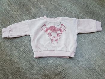 Pull Disney Baby 3 mois