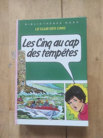 Les Cinq au cap des tempêtes Le Club des Cinq Bibliothèque Rose cartonnée 1986