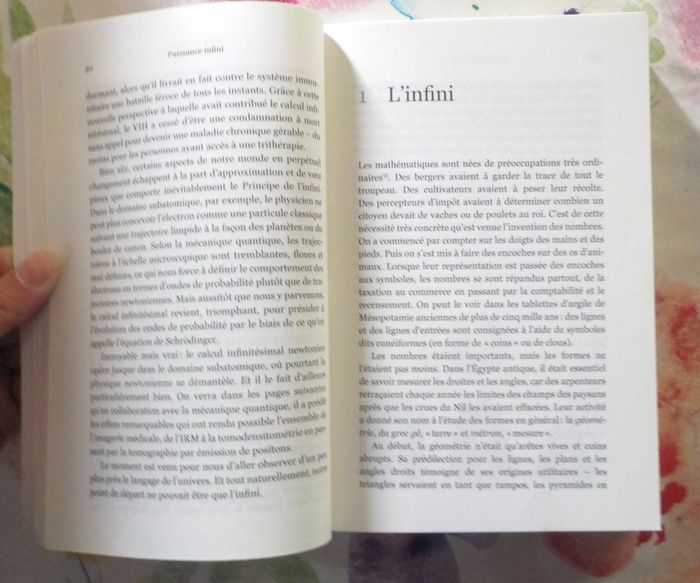 PUISSANCE INFINI (Calcul infinitésimal) par Steven STROGATZ - photo numéro 7