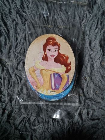 Lot 6  écussons princesse à scratch