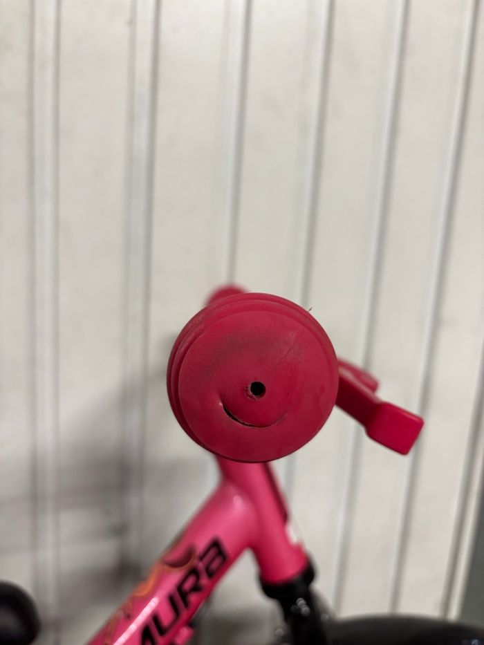 Draisienne - photo numéro 2