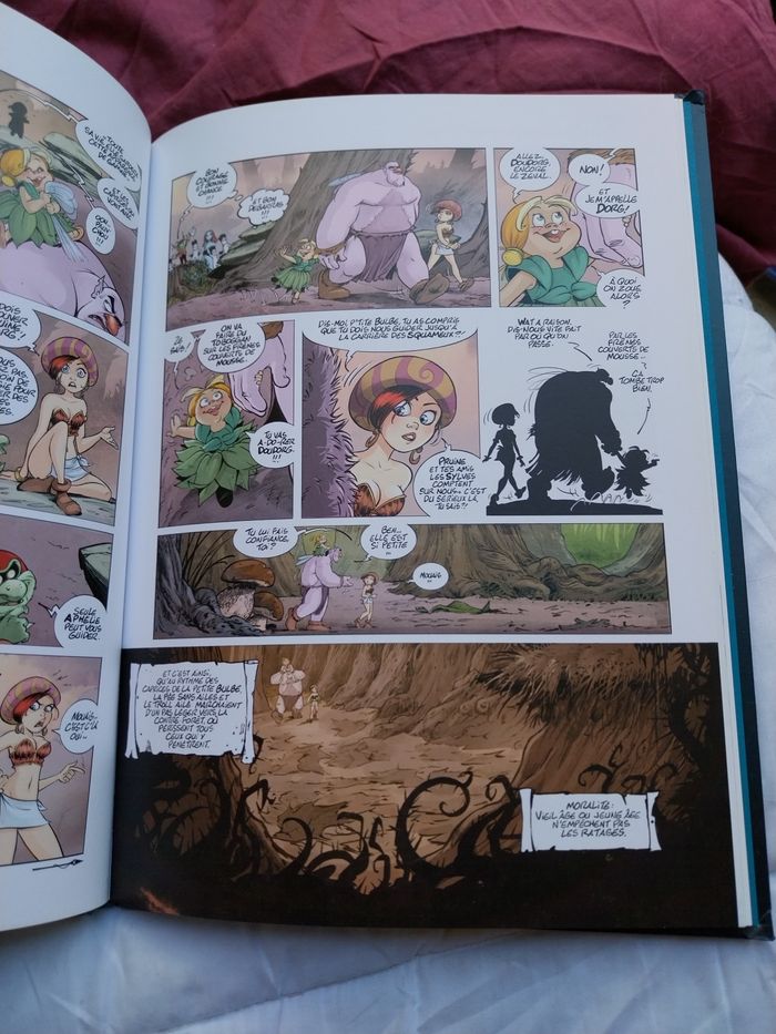 Bd watt la fee - photo numéro 2