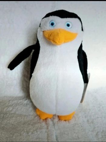 Pingouin de Madagascar