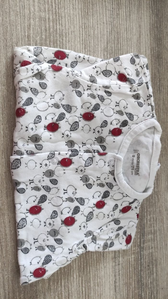 Vend lot bébé garçon - photo numéro 11