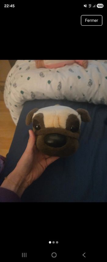 Peluche chien bouledogue